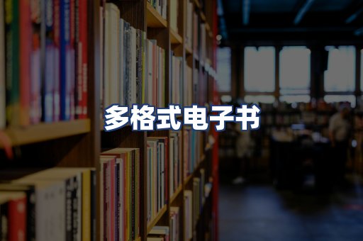 多格式电子书